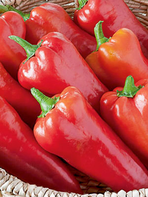 Перец Сладкий Сочник